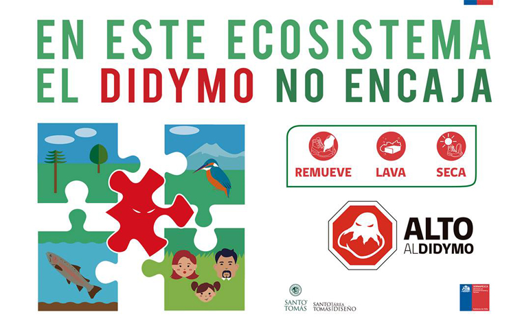 Campaña contra el Didymo