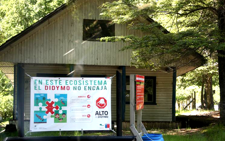 Campaña contra el Didymo