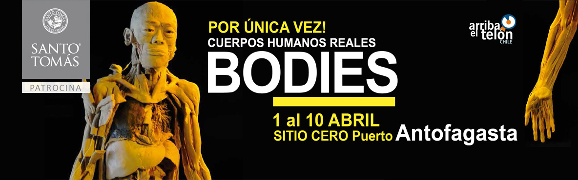 Exposición: Bodies, cuerpos humanos reales