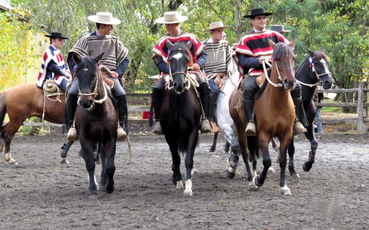 Foto Rodeo de la Amistad, año 2015.