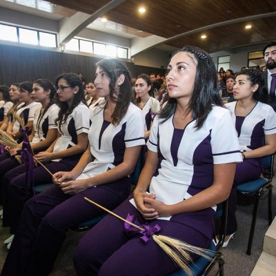 investidura, nutrición, antofagasta