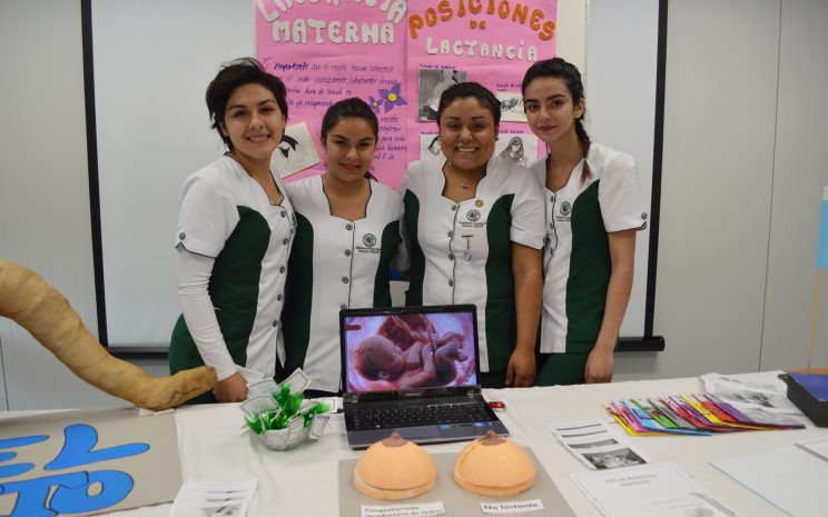 Las estudiantes de Técnico en Enfermería Gineco-Obstétrica y Neonatal (Tegyn) explicaron el funcionamiento de los órganos del humano, incluyendo el aparato reproductor y el proceso de formación de un feto.