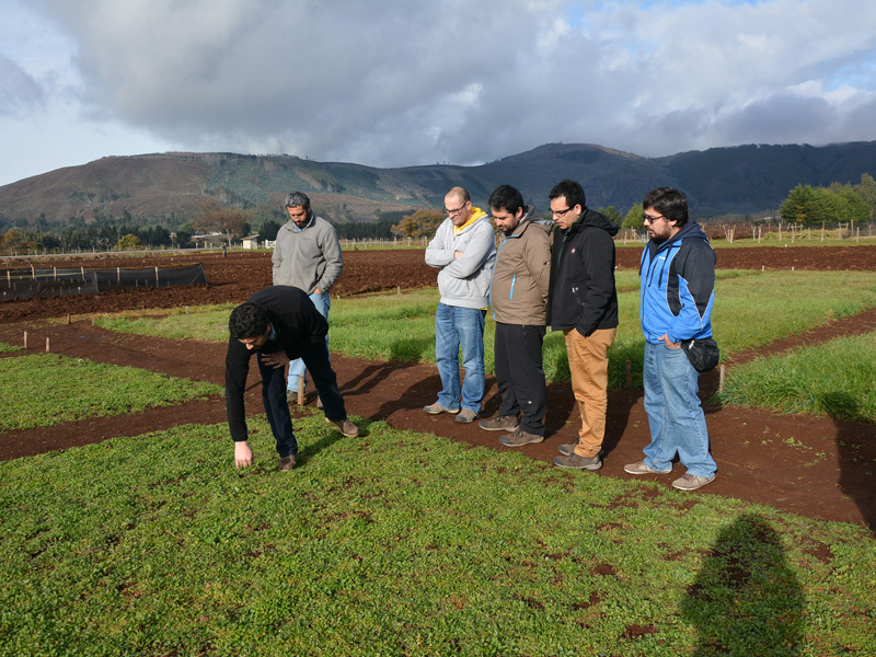 Estudiantes integrantes del Laboratorio de Innovación Aplicada del Área Informática Santo Tomás en terreno apoyando proyectos de agricultura en Cañete.