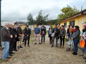 Inicio trabajos Nogales Vina 3