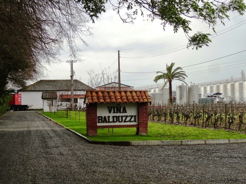 Viña Balduzzi de San Javier reconocida por su calidad de vinos