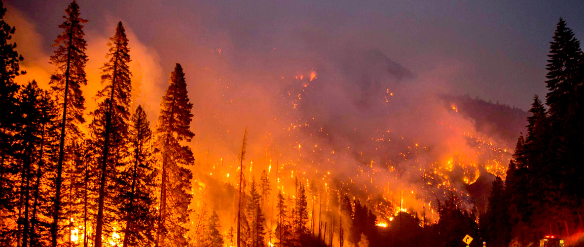 Simposio: Incendios Forestales, su impacto sobre las comunidades y la biodiversidad