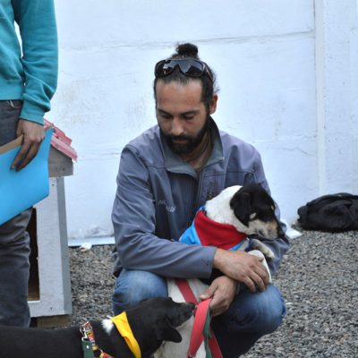 entrega de casa para perros abandonados