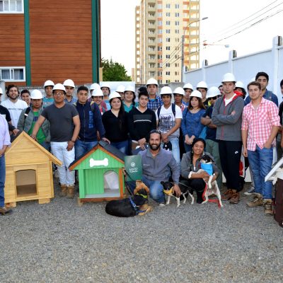 entrega de casa para perros abandonados