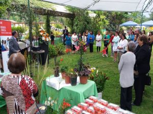 Alumnos y egresados de Ingeniería Comercial UST Viña del Mar apoyan trabajo de emprendedoras de Olmué.