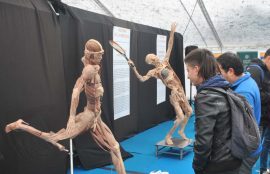 Bodies, cuerpos humanos reales, muestra 2016