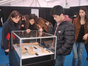 Bodies, cuerpos humanos reales, muestra 2016