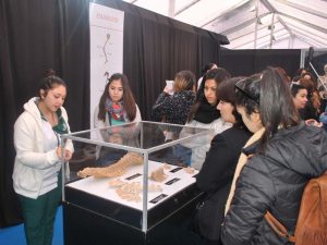 Bodies, cuerpos humanos reales, muestra 2016