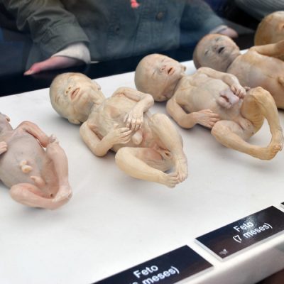 "BODIES 2.0, cuerpos humanos reales" en Valparaíso.