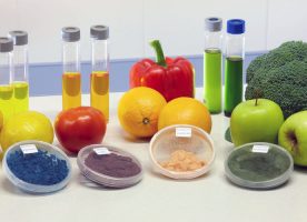 química de los alimentos