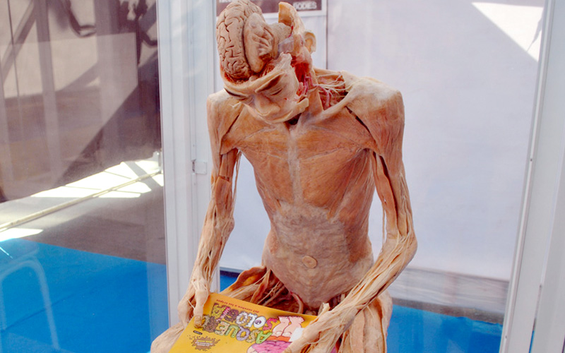 bodies santiago santo tomás