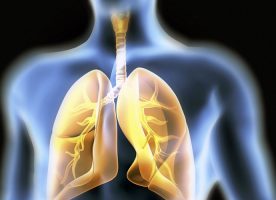 columna enfermedades respiratorias