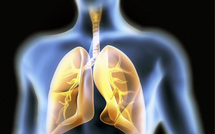 columna enfermedades respiratorias