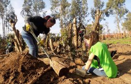 Trabajos Voluntarios de Invierno en Loncura