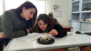 Científicos de la UST descubren fósil de anuro con doce mil años de antiguedad