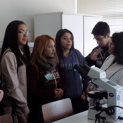 Tomasino x1 día en Santo Tomás Viña del Mar