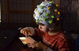 emociones y aprendizaje a la luz de la neurociencia