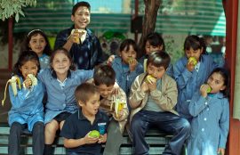 Importancia de la alimentación en escolares