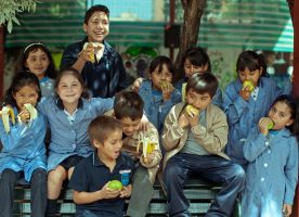 Importancia de la alimentación en escolares