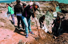 Limpiaron el sector costero y promovieron el cuidado del medioambiente.