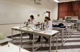 Investigación alumnos de Bachillerato en Ciencias UST Osorno