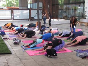 “Vivo Yoga, Yoga para Todos 2017”