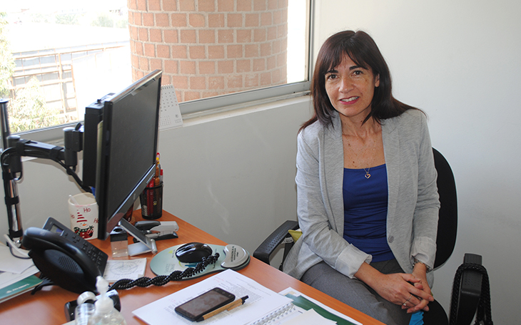 Sandra Catalan, directora Escuela de Educación UST Viña del Mar