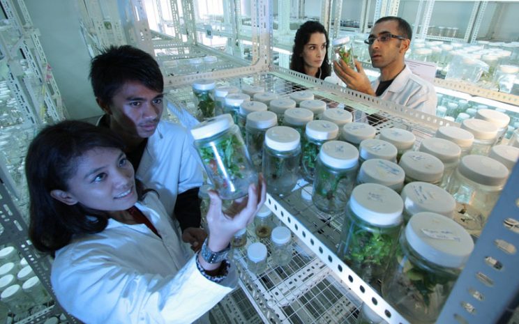 Cuatro estudiantes en laboratorio. Una de ellas levanta un frasco que contiene una planta dentro.