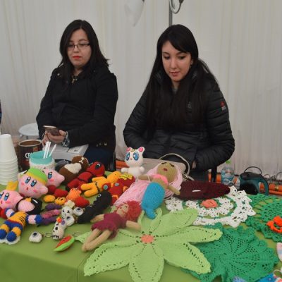 Estudiantes dan a conocer sus emprendimientos en Santo Tomás Temuco