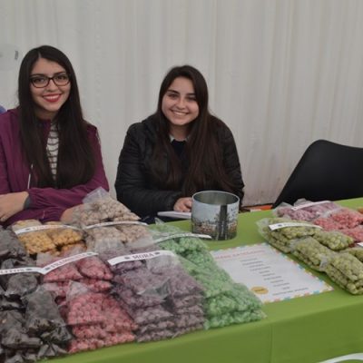 Segunda Feria Kreativa Santo Tomás Temuco