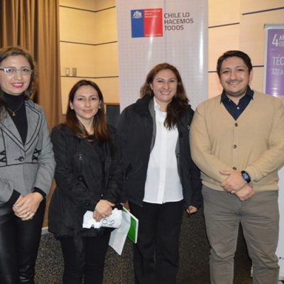 Taller Seremi Bienes Nacionales Araucanía para carrera de Técnico Jurídico