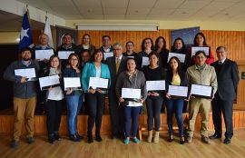 Certificación curso CAPIA