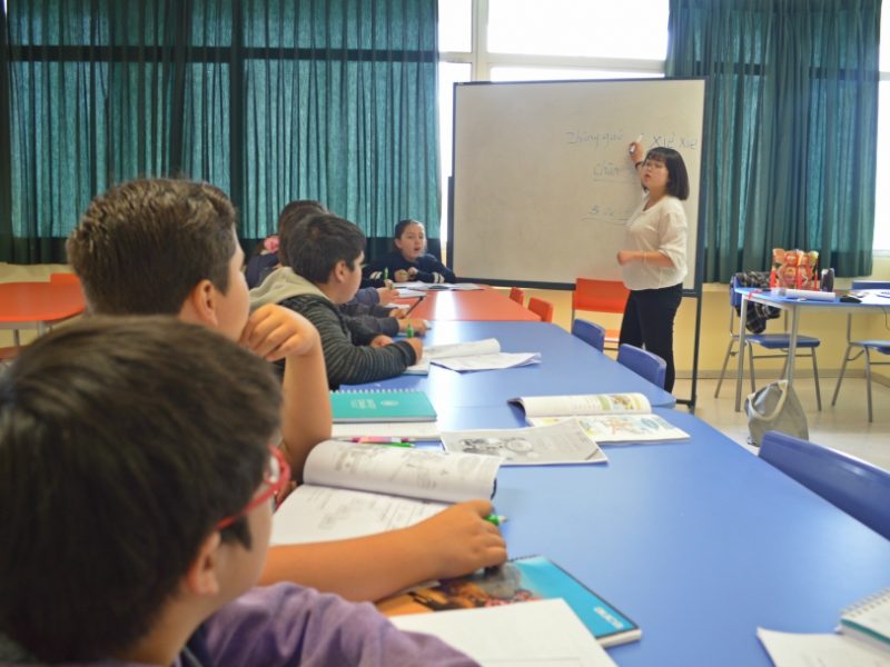 Clases de cultura china para niños en ST Temuco