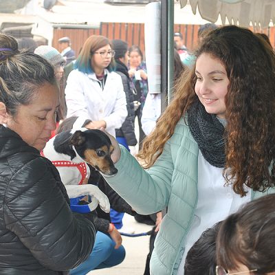 Operativo para mascotas -Mechoneo Solidario