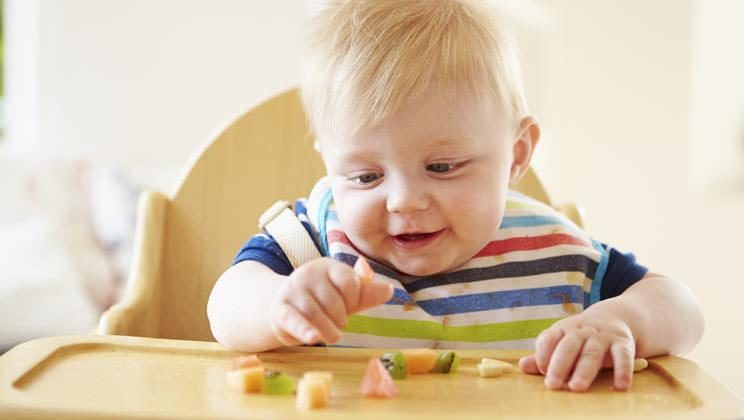 baby lead weaning