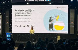 Paola Ulloa, DNA de Recursos Naturales, IP-CFT Santo Tomás exponiendo proyecto SmartBee en Protagonistas 2030 de El Mercurio