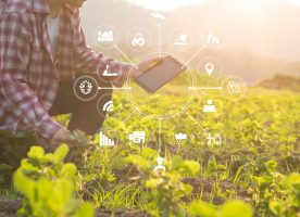 agricultura innovación
