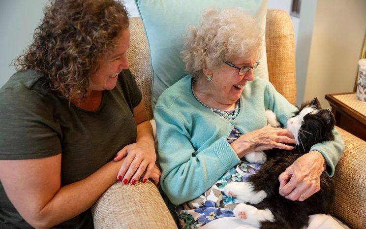 Créditos: joyforall.com